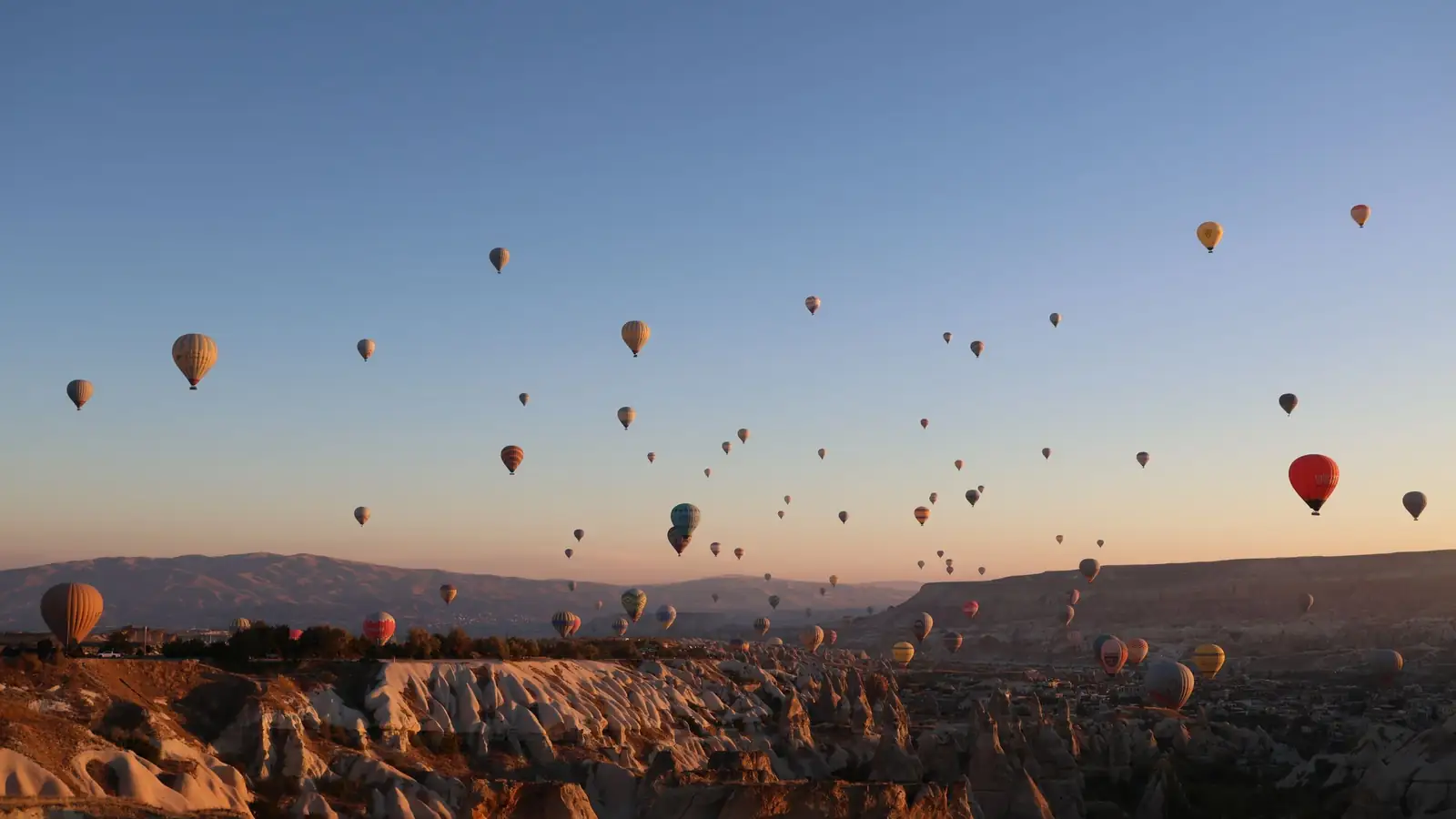 Dozens of hot-air balloons drifting over the fairy-chimney valleys of Cappadocia in the soft light of dawn